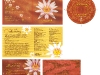 collectivity_fullproof3